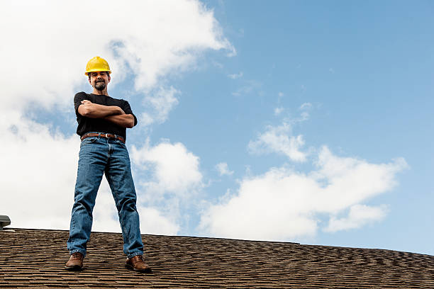 Residential Roof Replacement in River Forest, IL